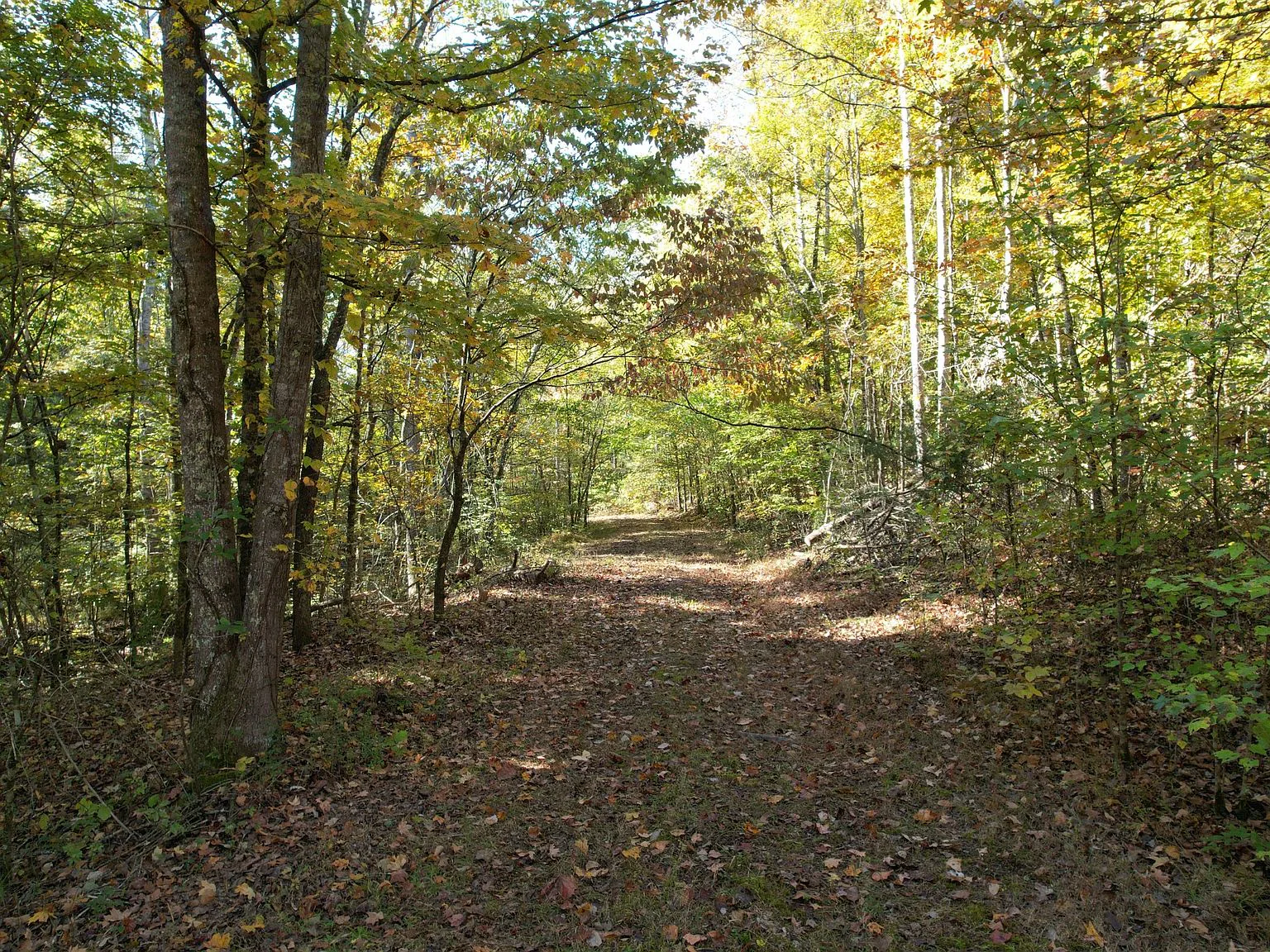 0 Sugar Ridge Rd, Spring Hill