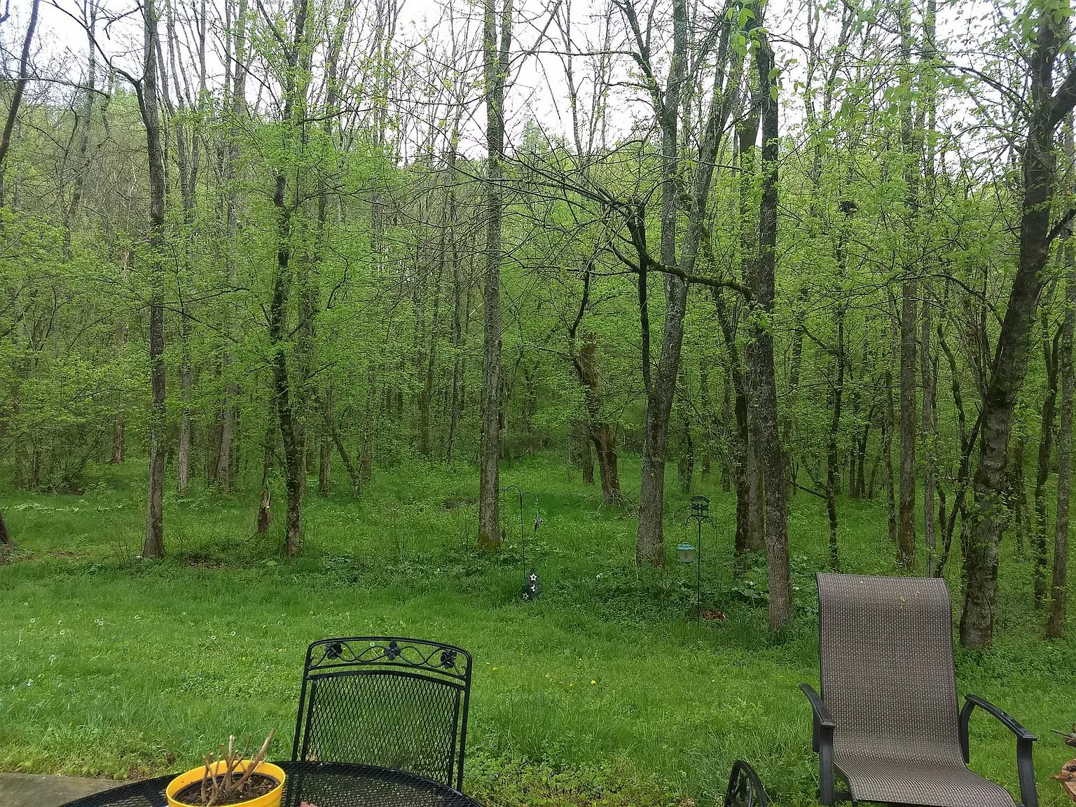 32 Triple B Ln, photo 5